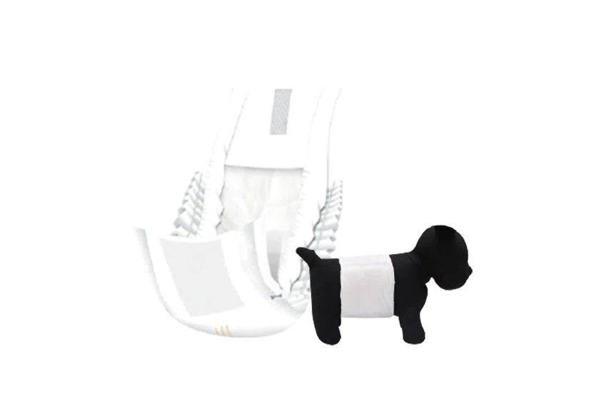 Male Dog Diapers