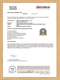 SGS Inspection Certificate - International testing and verification
