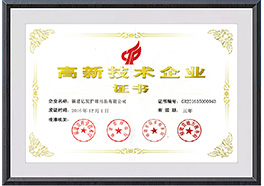 Chenrui (Fujian) Industry and Trade Co., Ltd. Industry Leadership Certificate
