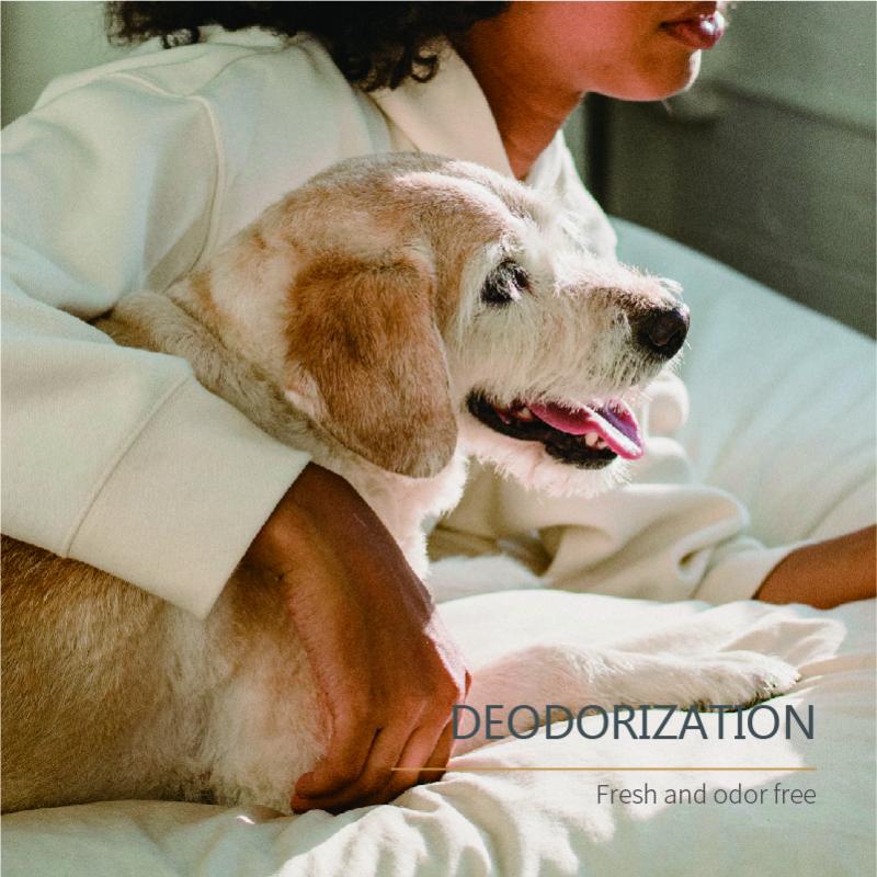 Biodegradable Pet Wipes Manufacturer Pet Care Wet Wipes - OEM Pet wipes manufacturer