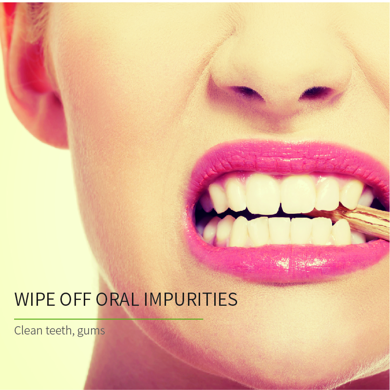 Wet Wipes Supplier Oral Cleaning Wipes