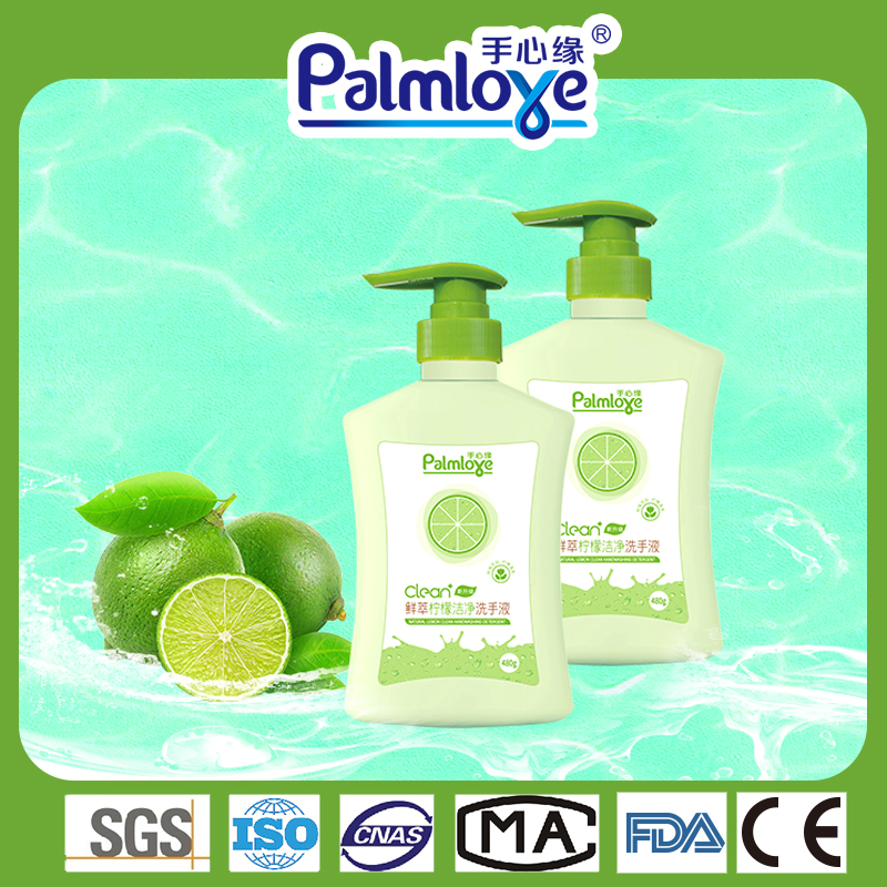 Hand Wash Natural Disinfection Liquid Hand Soap - OEM Pet Diapers