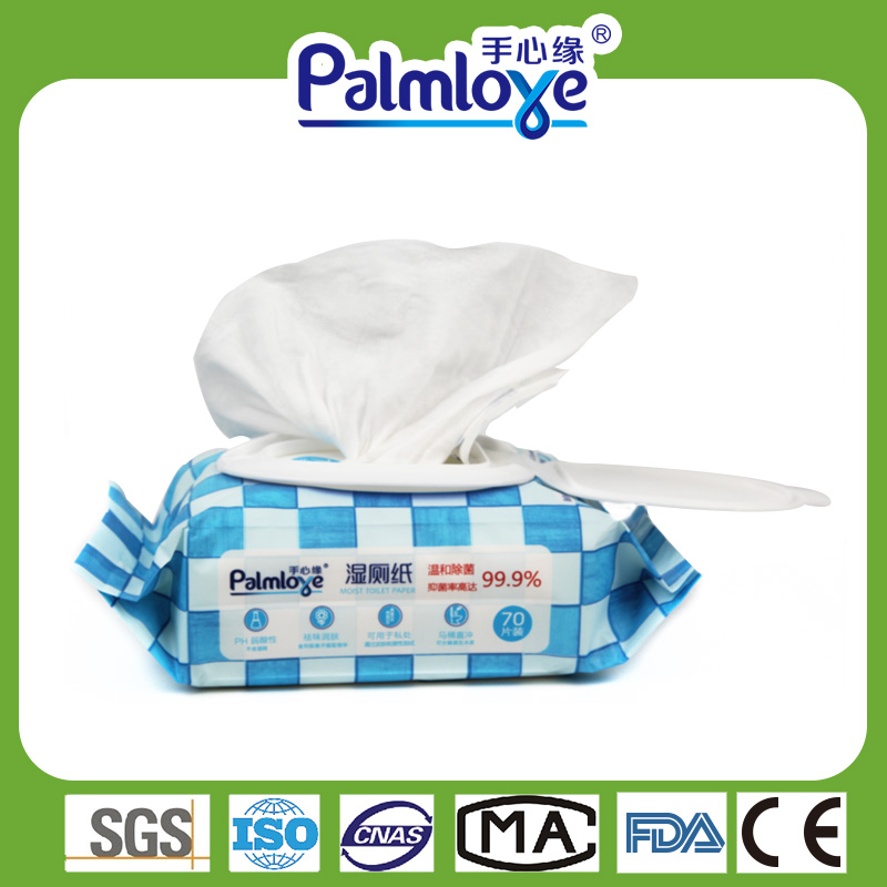 Kitchen Cleaning Wet Wipes Factory Functional Household Wipes Fresh Wipes