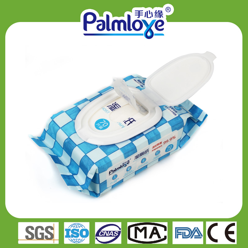 Kitchen Cleaning Wet Wipes Factory Functional Household Wipes Fresh Wipes