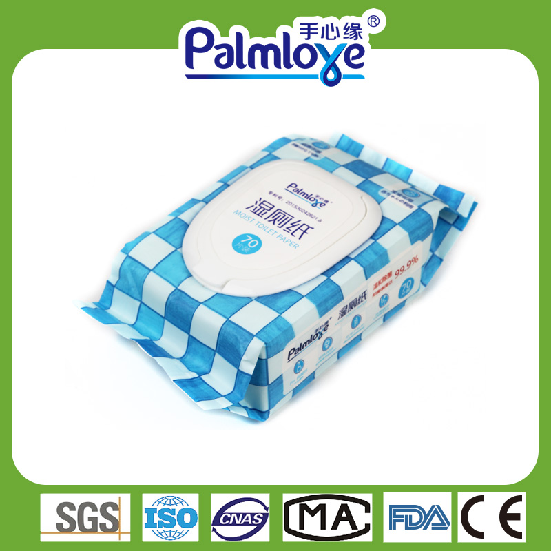 Kitchen Cleaning Wet Wipes Factory Functional Household Wipes Fresh Wipes