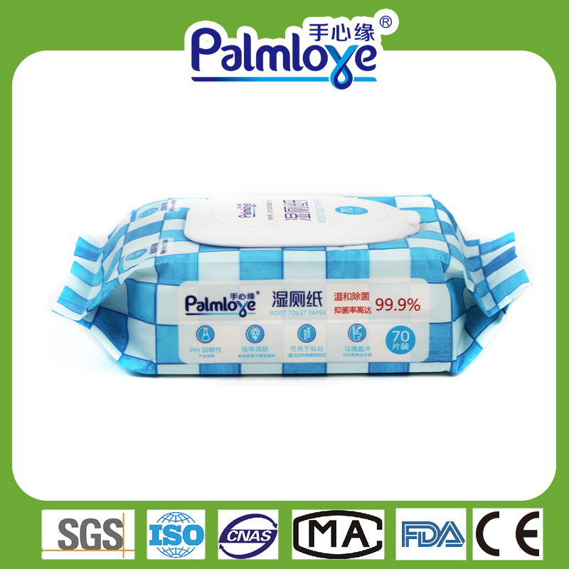 Kitchen Cleaning Wet Wipes Factory Functional Household Wipes Fresh Wipes