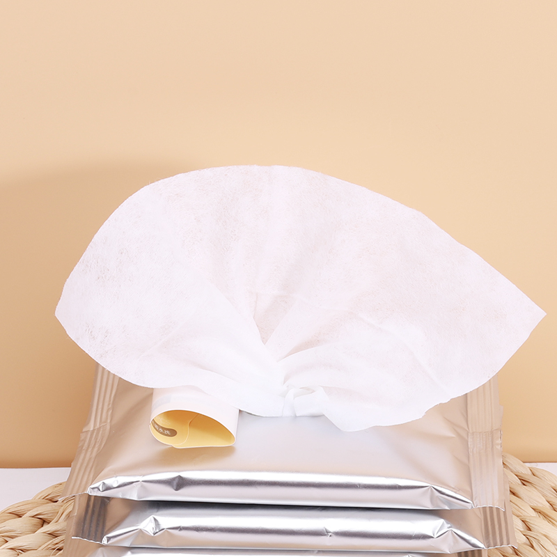Biodegradable pet wipes Manufacturer wet wipes pet care wipes wet