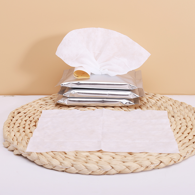 Biodegradable pet wipes Manufacturer wet wipes pet care wipes wet