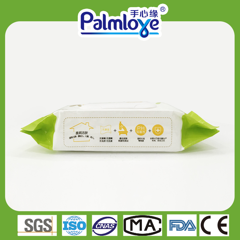 Private Label Wipes Manufacturer Factory Bulk Wipes Family Pack