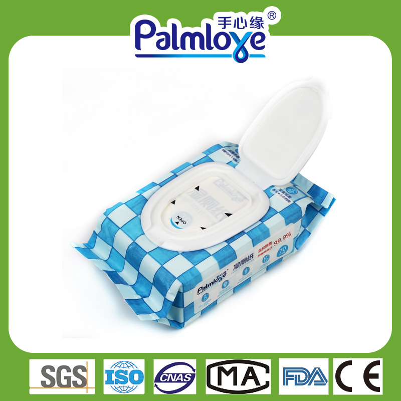 Oem Wet Wipes Household Flushable Moist Toilet Wipes