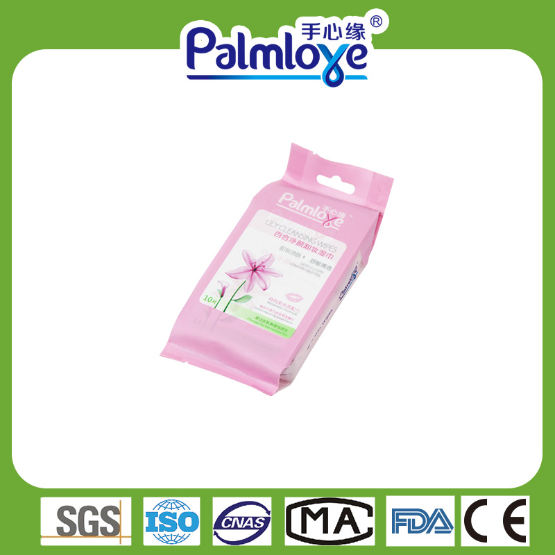 Adult wet wipes cleaning wipes Manufacturer individual wet wipes