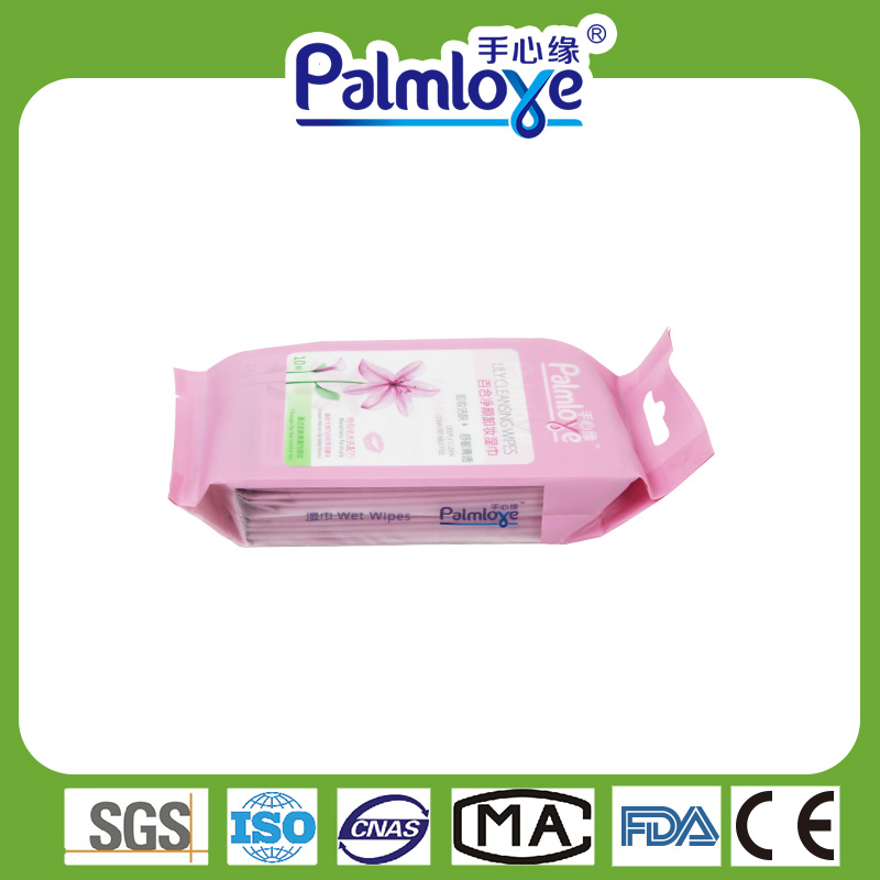 Adult wet wipes cleaning wipes Manufacturer individual wet wipes