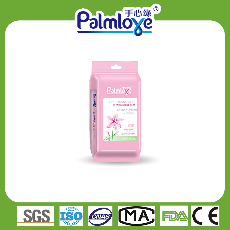 Adult wet wipes cleaning wipes Manufacturer individual wet wipes