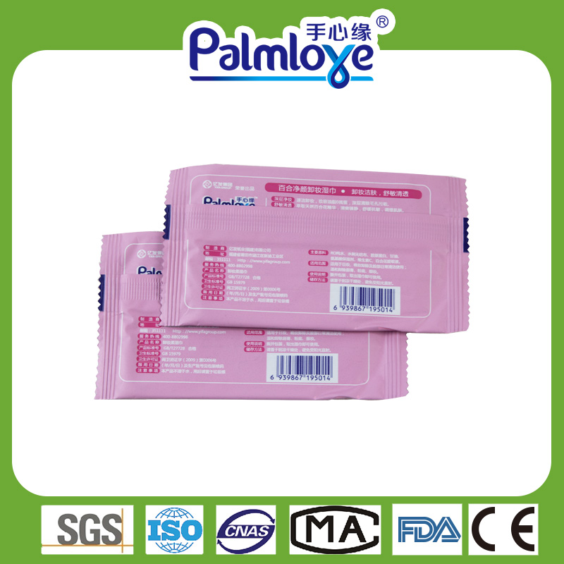 Adult wet wipes cleaning wipes Manufacturer individual wet wipes