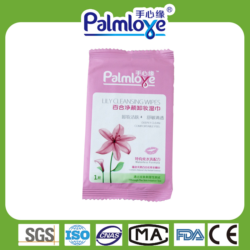 Adult wet wipes cleaning wipes Manufacturer individual wet wipes