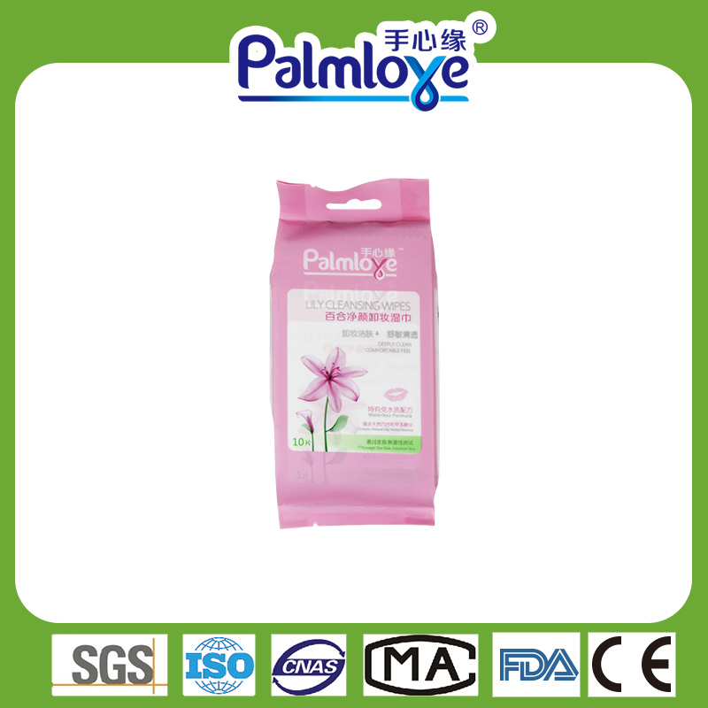 Adult wet wipes cleaning wipes Manufacturer individual wet wipes