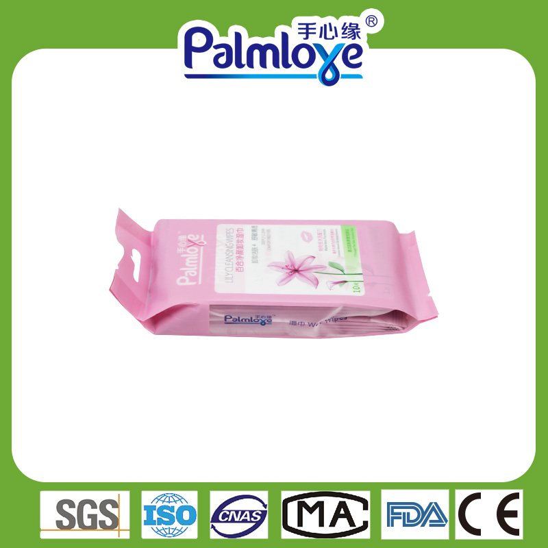 Adult wet wipes cleaning wipes Manufacturer individual wet wipes