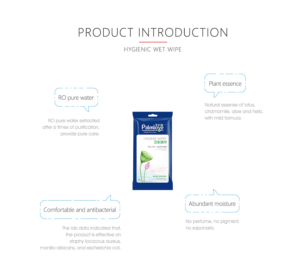 Disposable Adult Wet Wipes Wipes Wholesale Distributors Cleaning Wipes - OEM Disinfecting Wipes