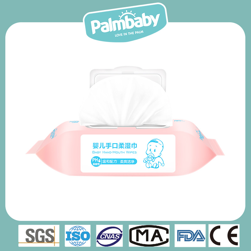 Wet Wipes Supplier Special Disposable Baby Diaper Wet Wipes