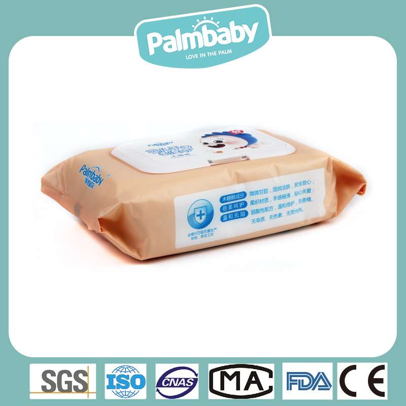 Wet Wipes Manufacturer Disposal Antibacterial Surface Wipes for