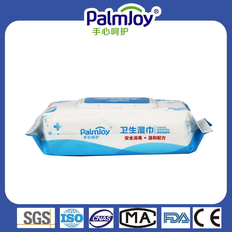 Wet Wipes Oem Disposable Baby Wipes Soft Premium Baby Cleaning Wipes