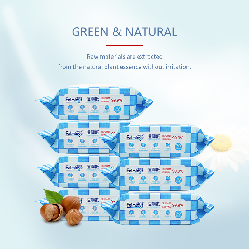 Wet Wipes Oem Household Flushable Moist Toilet Wipes, eco-friendly, - OEM Household Wipes manufacturer