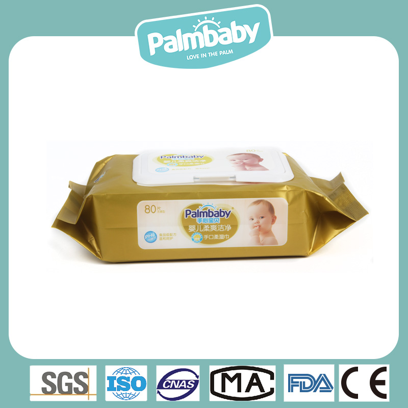 Flushable Wet Wipes Manufacturer Family Pack Baby Wipes Cleaning