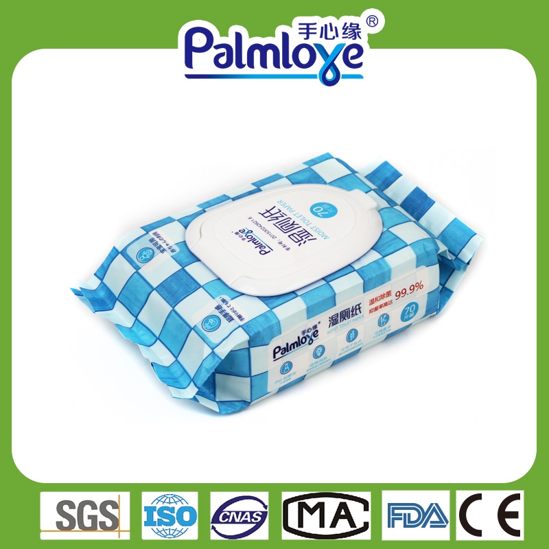 Flushable Wet Wipes Disposable Wet Wipes Manufacturer Mild