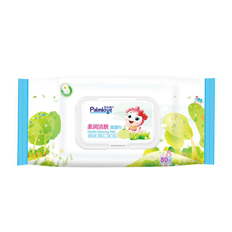 Wet Wipes Manufacturer Baby Cleaning Wet Wipes Antibacterial Wipe