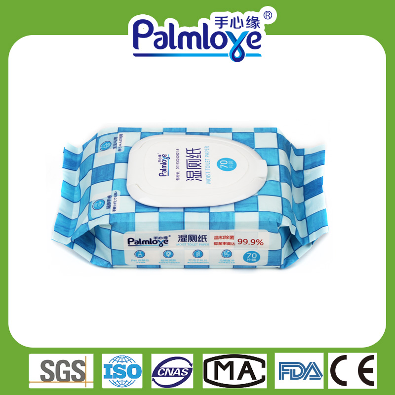 Cleaning wipes Manufacturer adults wipes wipes wet tissue wipes