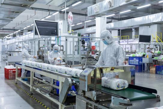 A Buyer's Checklist for Vetting Absorbent Hygiene Factories in China: Beyond the Brochure