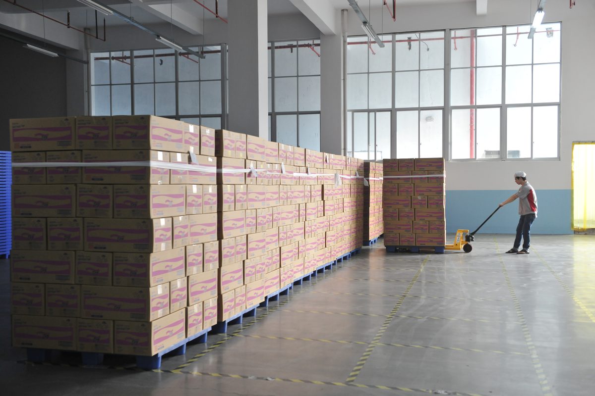 Export warehouse — container-ready pallets of packed finished products with batch traceability